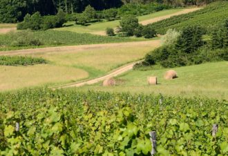 La Boucle de Montorient