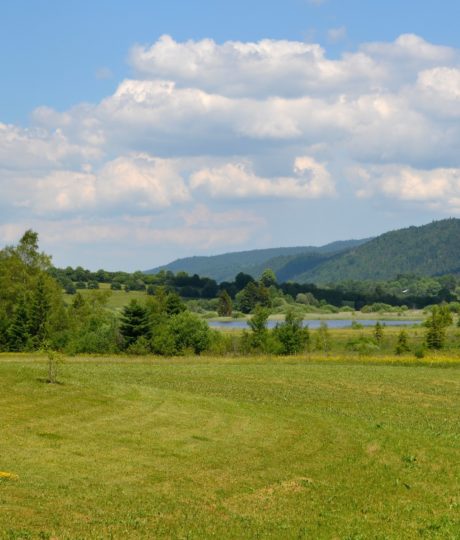 Lac des rouges truites