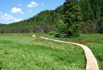 La Trémontagne – 84R