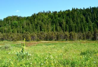 La Combe de Prénovel – 83V