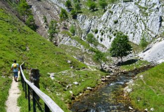 Source de la Saine