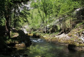 Séjour de pêche à la mouche dans le Jura