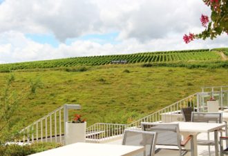 Flânerie Gourmande dans le vignoble du Jura
