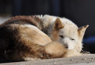 Le Haut-Jura, patrimoine naturel