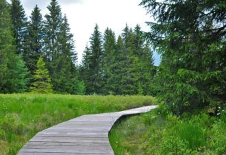Échappée nature au fil des lacs et montagnes du Jura