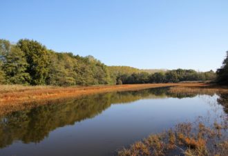 Le Sentier des Étangs de la Bresse Jurassienne