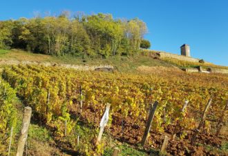 Circuit des Vignes – 10V