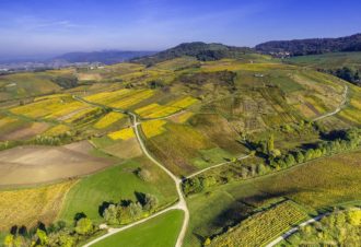 Escapade gastronomique à Arbois