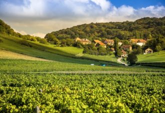 La petite Échappée Jurassienne dans le vignoble du Jura : Pupillin – Passenans