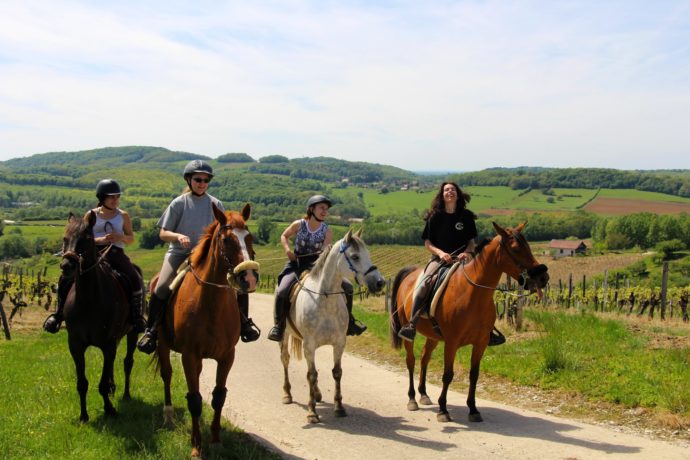 Randonneurs à cheval dans le vignoble du Jura