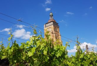 Arbois et Poligny, capitales des vins du Jura et du Comté