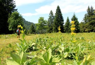 Le Mont Sâla par le Creux du Croue