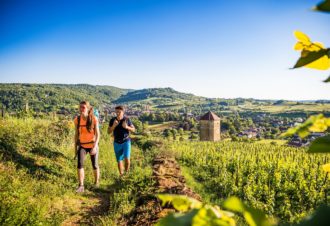 La petite Échappée Jurassienne dans le vignoble du Jura : Pupillin – Passenans