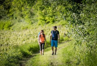 La petite Échappée Jurassienne dans le vignoble du Jura : Pupillin – Passenans