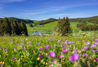 Autotour dans le Jura