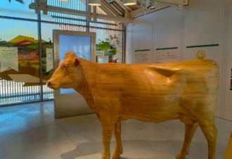 Flânerie Gourmande dans le vignoble du Jura