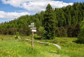 Échappée nature au fil des lacs et montagnes du Jura