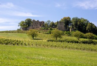 Flânerie Gourmande dans le vignoble du Jura