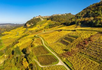 Flânerie Gourmande dans le vignoble du Jura
