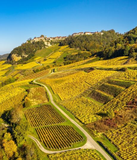 Flânerie Gourmande dans le vignoble du Jura