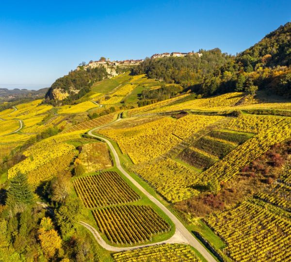 Flânerie Gourmande dans le vignoble du Jura