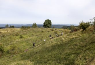 La vallée des laïkas –  kart, cani-trottinette et cani-rando