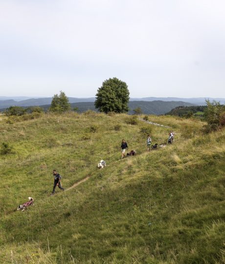 La vallée des laïkas –  kart, cani-trottinette et cani-rando