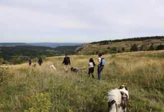 La vallée des laïkas –  kart, cani-trottinette et cani-rando
