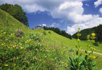 Le Doux Jura – 30N