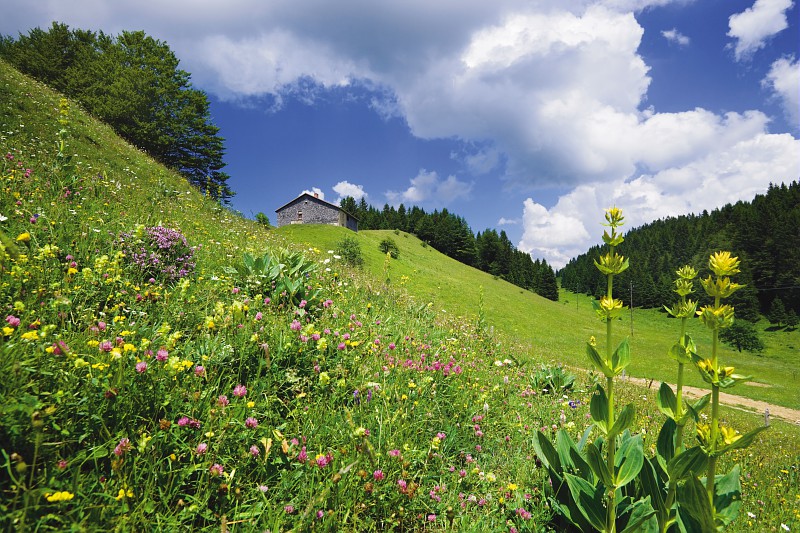 Le Doux Jura – 30N