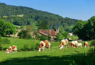 GR 9 de Saint-Amour à Mijoux
