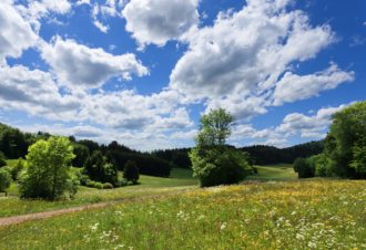 Champ la Gaille – 26V