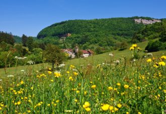 La Reculée de Blois-sur-Seille