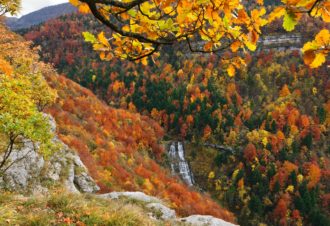 Echappée Jurassienne Pédestre – Étape 11 : Chatillon – Menetru en Joux