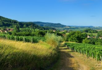 Echappée Jurassienne Pédestre – Étape 4 : Salins les Bains – Montigny les Arsures