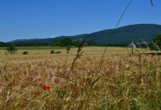 Boucle 17 : Vallée du Suran