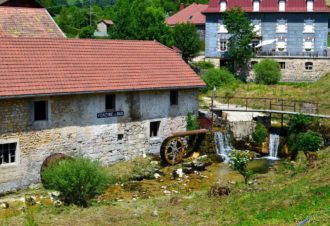 Eaux vives, Eaux dormantes / Langouette