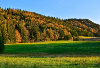 Fontaine Noire – 64B