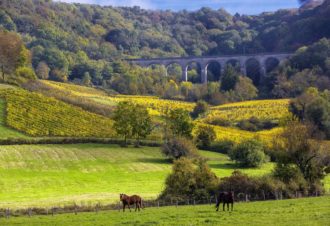 Echappée Jurassienne Pédestre – Étape 4 : Salins les Bains – Montigny les Arsures