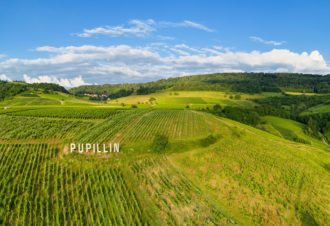 Circuit de Pupillin – 12N