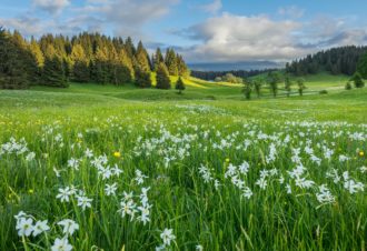 Echappée Jurassienne Pédestre – Étape 16 : Les Rousses – Lajoux