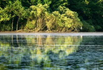 GRP de la Bresse Comtoise