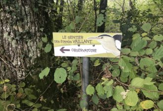 Le Sentier des étangs Vaillant, du Crêt et du Fort