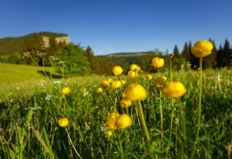 Tour du Mont Fier – 21R