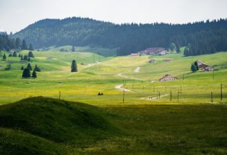 Combes, prairies et pâturage
