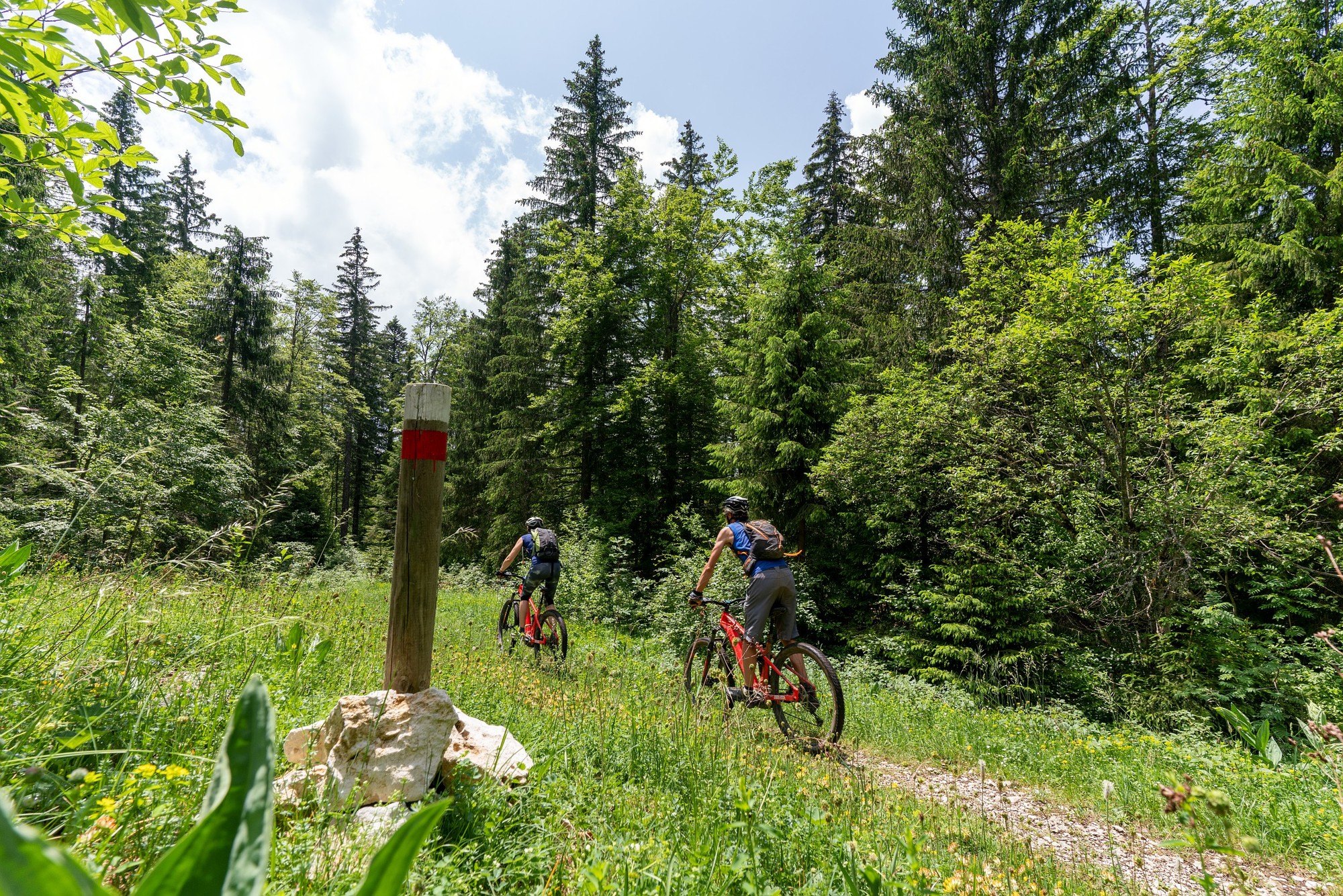 Sur les Gîts / Chapelle-des-Bois – 31B
