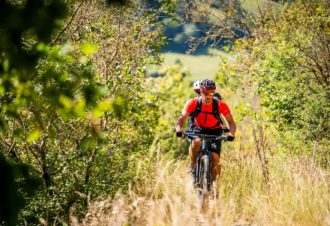 La Forêt de Bonnefontaine – 3B