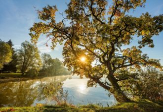 La Maison des Étangs-Est – 59B