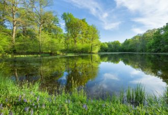 Boucle 11 : En Bresse-Revermont