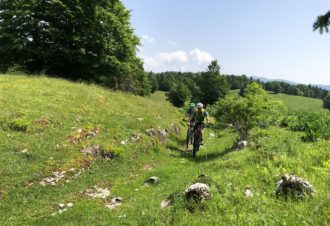 Tour des Arcets – 117R